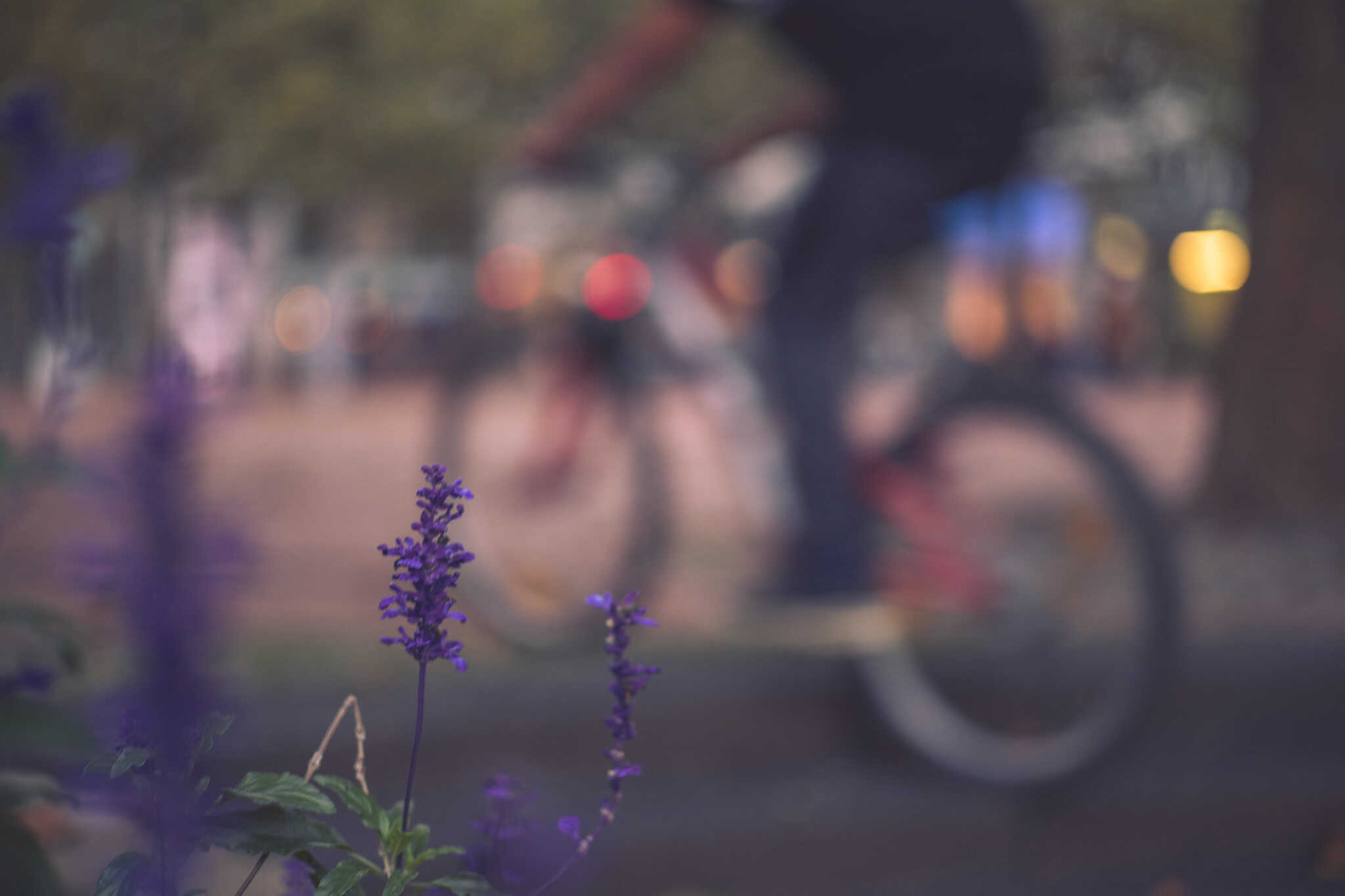 Voorbijkomende mijmeringen – Wout Waanders